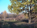 Файл=IMG_4846.JPG
Объём=2955KB
Размеры=2304x1736
Дата=Янв 08, 2012 IMG_4846.JPG