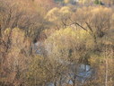 Файл=IMG_4853.JPG
Объём=3347KB
Размеры=2304x1736
Дата=Янв 08, 2012 IMG_4853.JPG