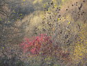 Файл=IMG_4858.JPG
Объём=3067KB
Размеры=2304x1736
Дата=Янв 08, 2012 IMG_4858.JPG