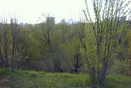 Файл=46033.JPG
Объём=95KB
Размеры=640x429
Дата=Апр 05, 2009 46033.JPG