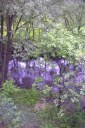 Файл=46040.JPG
Объём=127KB
Размеры=429x640
Дата=Апр 05, 2009 46040.JPG