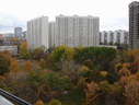 IMG_7931.JPG
