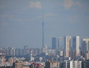 IMG_7178.JPG