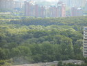 Файл=IMG_7277.JPG
Объём=2064KB
Размеры=2304x1736
Дата=Янв 08, 2012 IMG_7277.JPG