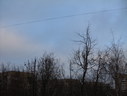 Файл=IMG_1057.JPG
Объём=1909KB
Размеры=2304x1736
Дата=Янв 08, 2012 IMG_1057.JPG