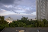 Файл=47020.JPG
Объём=59KB
Размеры=640x429
Дата=Апр 05, 2009 47020.JPG