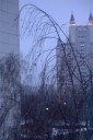 Файл=47055.JPG
Объём=70KB
Размеры=429x640
Дата=Апр 05, 2009 47055.JPG