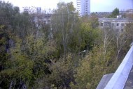 Файл=48025.JPG
Объём=98KB
Размеры=640x429
Дата=Апр 05, 2009 48025.JPG