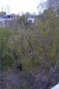 Файл=48028.JPG
Объём=109KB
Размеры=429x640
Дата=Апр 05, 2009 48028.JPG