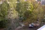 Файл=48029.JPG
Объём=113KB
Размеры=640x429
Дата=Апр 05, 2009 48029.JPG