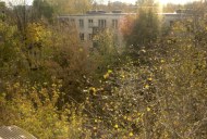 Файл=48030.JPG
Объём=117KB
Размеры=640x429
Дата=Апр 05, 2009 48030.JPG