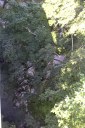 Файл=50061.JPG
Объём=108KB
Размеры=429x640
Дата=Апр 05, 2009 50061.JPG