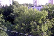 Файл=50065.JPG
Объём=112KB
Размеры=640x429
Дата=Апр 05, 2009 50065.JPG