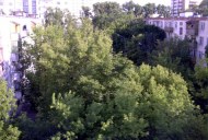Файл=50066.JPG
Объём=113KB
Размеры=640x429
Дата=Апр 05, 2009 50066.JPG