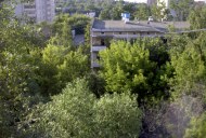 Файл=50070.JPG
Объём=116KB
Размеры=640x429
Дата=Апр 05, 2009 50070.JPG