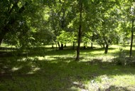 Файл=55014.JPG
Объём=117KB
Размеры=640x429
Дата=Апр 05, 2009 55014.JPG