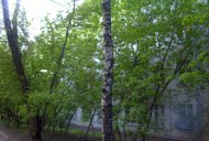Файл=56028.JPG
Объём=105KB
Размеры=640x429
Дата=Апр 05, 2009 56028.JPG