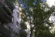 Файл=56033.JPG
Объём=108KB
Размеры=640x429
Дата=Апр 05, 2009 56033.JPG