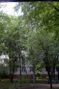 Файл=56035.JPG
Объём=109KB
Размеры=429x640
Дата=Апр 05, 2009 56035.JPG