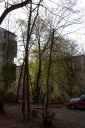 Файл=56045.JPG
Объём=116KB
Размеры=429x640
Дата=Апр 05, 2009 56045.JPG
