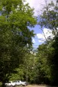 Файл=56047.JPG
Объём=118KB
Размеры=429x640
Дата=Апр 05, 2009 56047.JPG