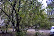 Файл=56053.JPG
Объём=120KB
Размеры=640x429
Дата=Апр 05, 2009 56053.JPG