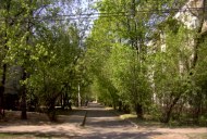 Файл=56055.JPG
Объём=121KB
Размеры=640x429
Дата=Апр 05, 2009 56055.JPG