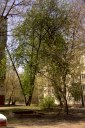 Файл=56056.JPG
Объём=129KB
Размеры=429x640
Дата=Апр 05, 2009 56056.JPG