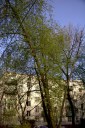 Файл=56057.JPG
Объём=132KB
Размеры=429x640
Дата=Апр 05, 2009 56057.JPG