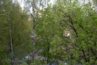 Файл=57009.JPG
Объём=120KB
Размеры=640x429
Дата=Апр 05, 2009 57009.JPG