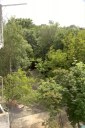 Файл=58010.JPG
Объём=93KB
Размеры=429x640
Дата=Апр 05, 2009 58010.JPG