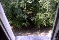Файл=58011.JPG
Объём=102KB
Размеры=640x429
Дата=Апр 05, 2009 58011.JPG
