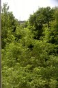 Файл=58015.JPG
Объём=117KB
Размеры=429x640
Дата=Апр 05, 2009 58015.JPG