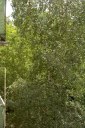 Файл=58018.JPG
Объём=127KB
Размеры=429x640
Дата=Апр 05, 2009 58018.JPG