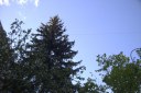 Файл=52033.JPG
Объём=75KB
Размеры=640x429
Дата=Апр 05, 2009 52033.JPG