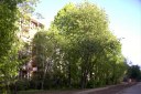 Файл=52074.JPG
Объём=104KB
Размеры=640x429
Дата=Апр 05, 2009 52074.JPG