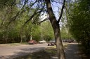Файл=52076.JPG
Объём=107KB
Размеры=640x429
Дата=Апр 05, 2009 52076.JPG