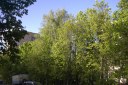 Файл=52087.JPG
Объём=116KB
Размеры=640x429
Дата=Апр 05, 2009 52087.JPG
