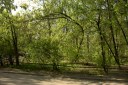 Файл=52093.JPG
Объём=123KB
Размеры=640x429
Дата=Апр 05, 2009 52093.JPG