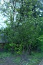 Файл=52094.JPG
Объём=126KB
Размеры=429x640
Дата=Апр 05, 2009 52094.JPG