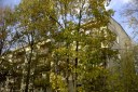 Файл=52100.JPG
Объём=132KB
Размеры=640x429
Дата=Апр 05, 2009 52100.JPG