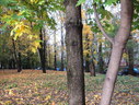 Файл=IMG_0860.JPG
Объём=3036KB
Размеры=2304x1736
Дата=Янв 08, 2012 IMG_0860.JPG