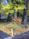 Файл=IMG_0862.JPG
Объём=2944KB
Размеры=1736x2304
Дата=Янв 08, 2012 IMG_0862.JPG