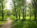 Файл=IMG_1510.JPG
Объём=3120KB
Размеры=2304x1736
Дата=Янв 08, 2012 IMG_1510.JPG