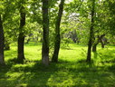 Файл=IMG_1511.JPG
Объём=3135KB
Размеры=2304x1736
Дата=Янв 08, 2012 IMG_1511.JPG