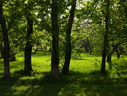 Файл=IMG_1512.JPG
Объём=2633KB
Размеры=2304x1736
Дата=Янв 08, 2012 IMG_1512.JPG