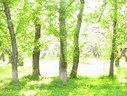 Файл=IMG_1513.JPG
Объём=2851KB
Размеры=2304x1736
Дата=Янв 08, 2012 IMG_1513.JPG
