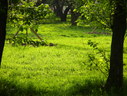 Файл=IMG_1514.JPG
Объём=2475KB
Размеры=2304x1736
Дата=Янв 08, 2012 IMG_1514.JPG