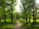 Файл=IMG_1516.JPG
Объём=2961KB
Размеры=2304x1736
Дата=Янв 08, 2012 IMG_1516.JPG