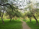 Файл=IMG_1517.JPG
Объём=2886KB
Размеры=2304x1736
Дата=Янв 08, 2012 IMG_1517.JPG